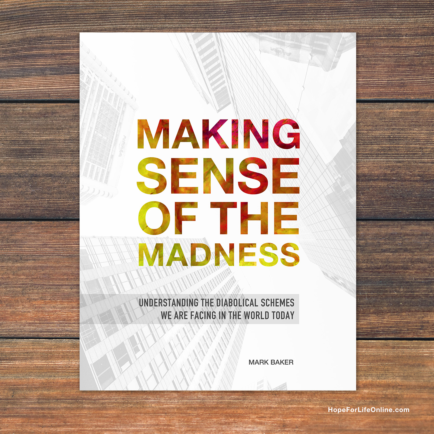 Making-Sense-Of-The-Madness-Mark-Baker