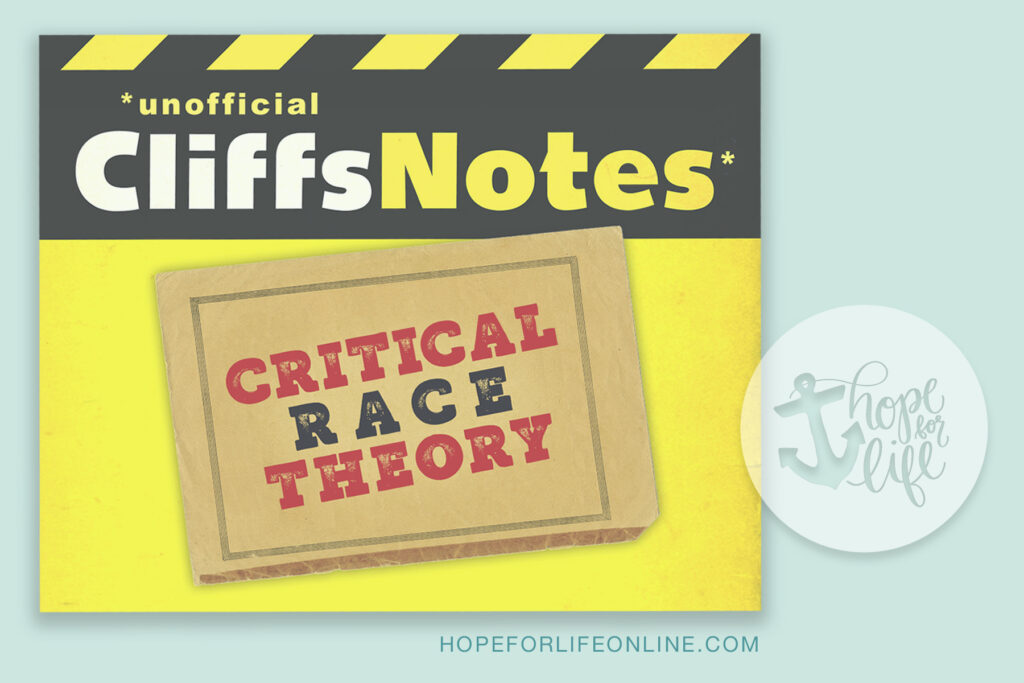 Critical Race Theory Cliffs Notes